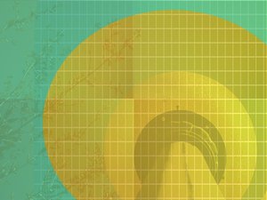 优秀DevOps团队的共同特质